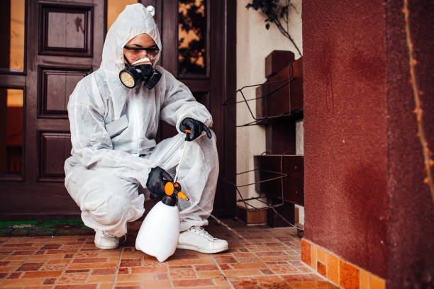 Reliable Wasp Removal contractor in South Ogden, UT by Show Me Pest Control